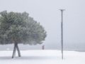 &Sigma;&tau;&alpha; &lambda;&epsilon;&upsilon;&kappa;ά &eta; &beta;ό&rho;&epsilon;&iota;&alpha; &Epsilon;&lambda;&lambda;ά&delta;&alpha;